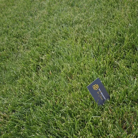 住宿加早餐酒店 Da Choco